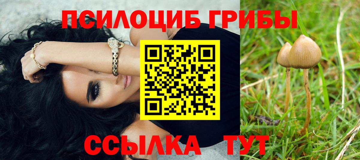 Псилоцибиновые грибы GOLDEN TEACHER Зима